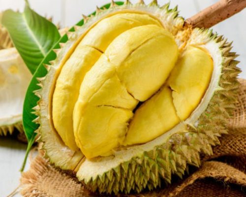 639e1a92ba27fe6925ba5d8c9b9961eb